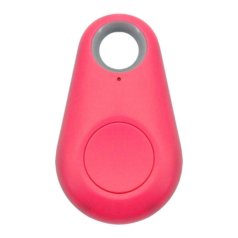 Pet Smart GPS Tracker