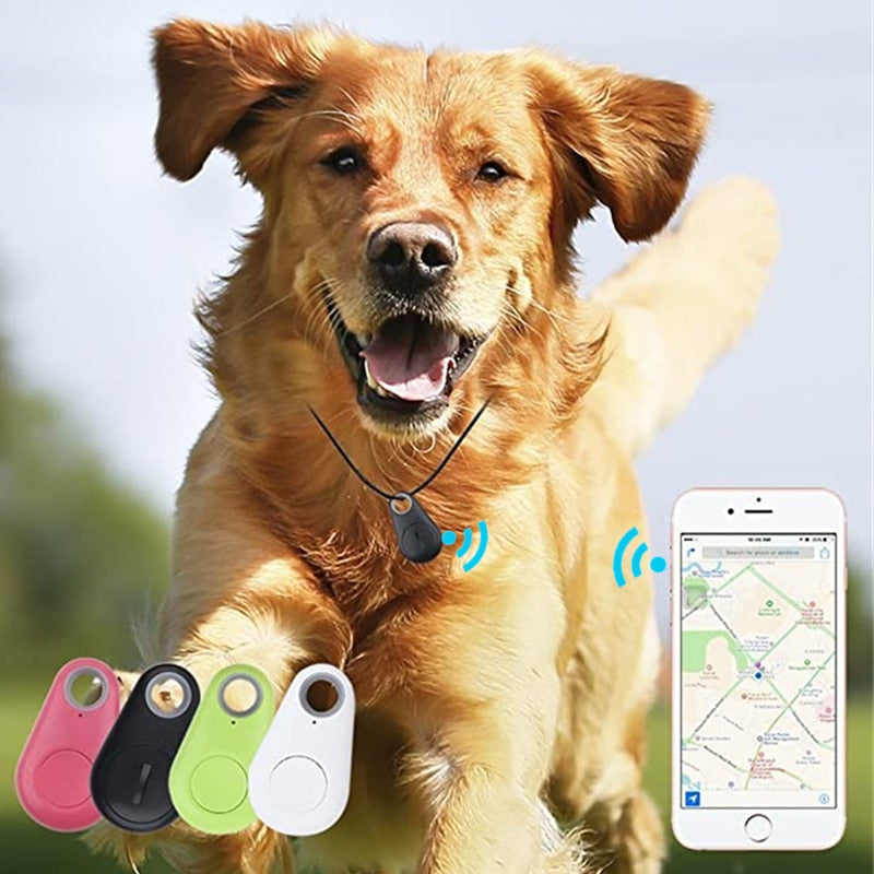 Pet Smart GPS Tracker