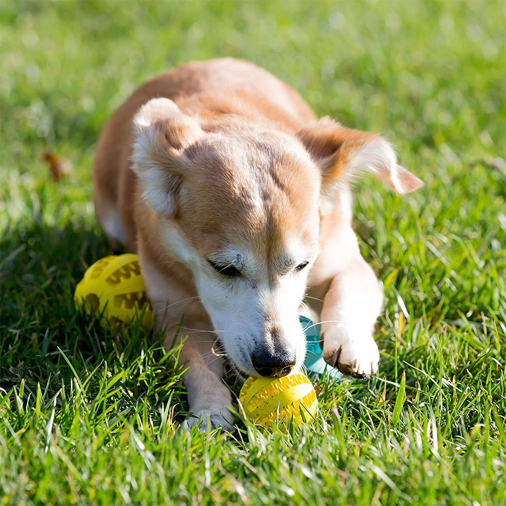 Toys for Dogs Rubber Dog Ball