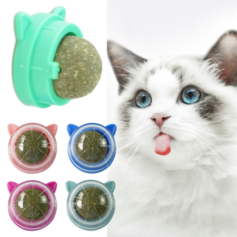 Pet Stuff Healthy Cat Catnip Toys Ball