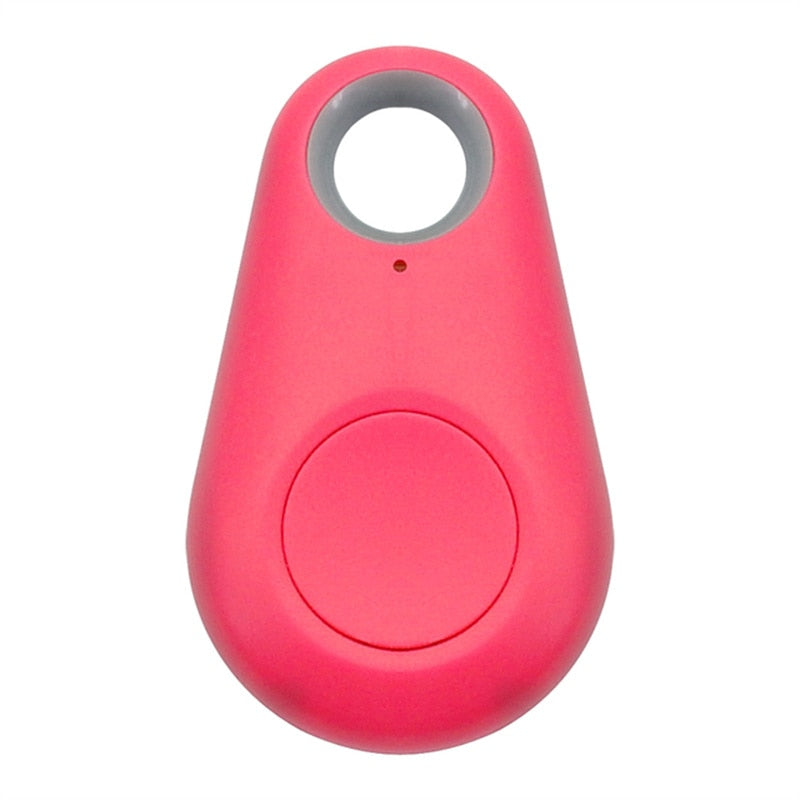 Pet Smart GPS Tracker