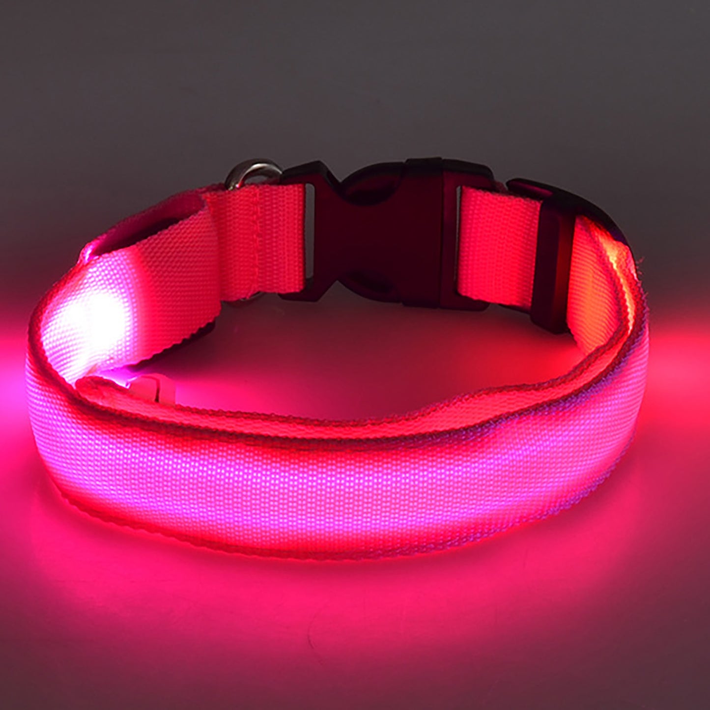 Led Dog Collar