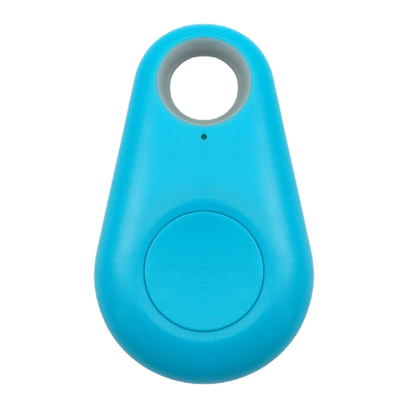 Pet Smart GPS Tracker