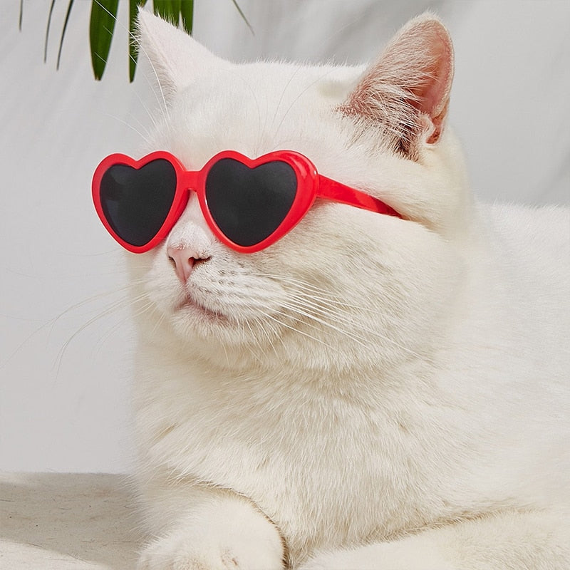 Heart Shape Pet Sunglasses