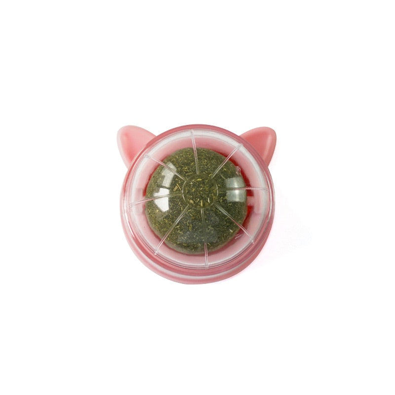 Pet Stuff Healthy Cat Catnip Toys Ball